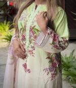 SHEHZEEN - Image 5